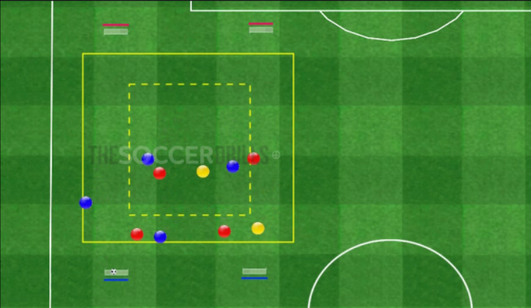 Rondo + Transición a porterías