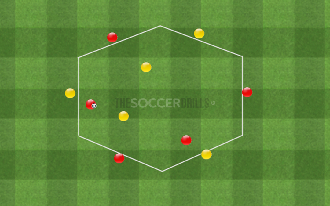 Hexagonal rondo to work  the switch of play,  the players profiles and  deciding before receiving the ball.